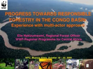PROGRESS TOWARDS RESPONSIBLE FORESTRY IN THE CONGO BASIN: Experience with multi-actor approach