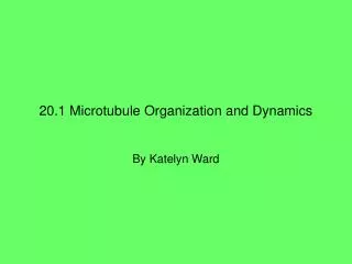 20.1 Microtubule Organization and Dynamics
