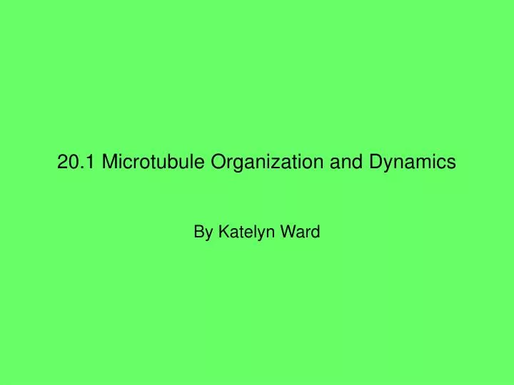 20 1 microtubule organization and dynamics
