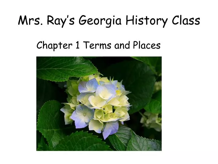 mrs ray s georgia history class