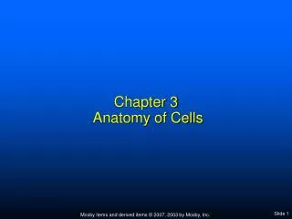 Chapter 3 Anatomy of Cells