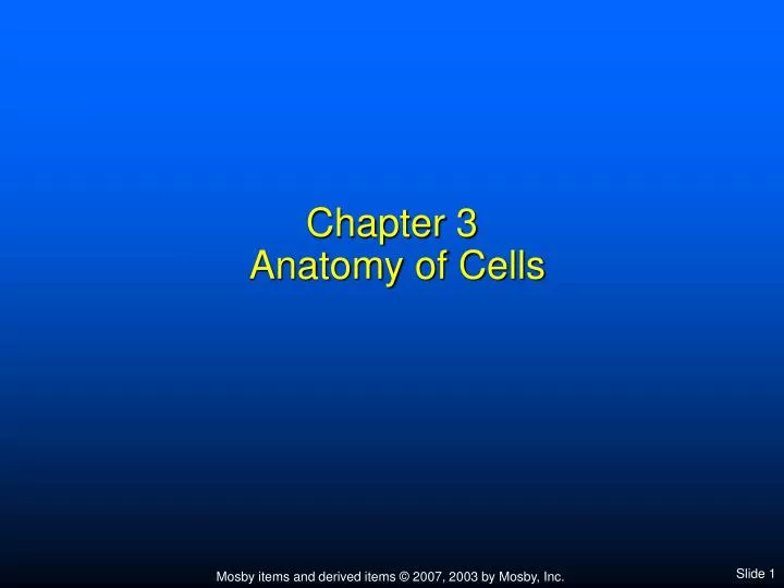 chapter 3 anatomy of cells