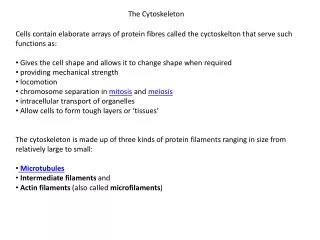 The Cytoskeleton