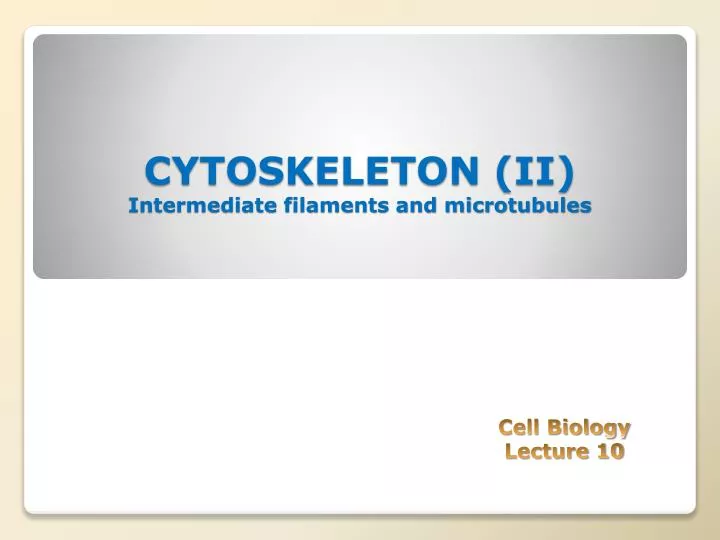 cytoskeleton ii intermediate filaments and microtubules
