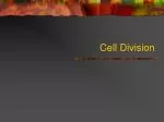 Exploring Cell Division and Chromosome Structure - slide 1