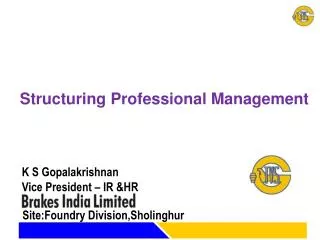 Structuring Professional Management