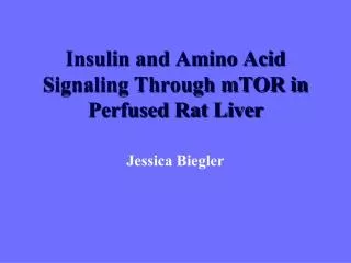 Insulin and Amino Acid Signaling Through mTOR in Perfused Rat Liver