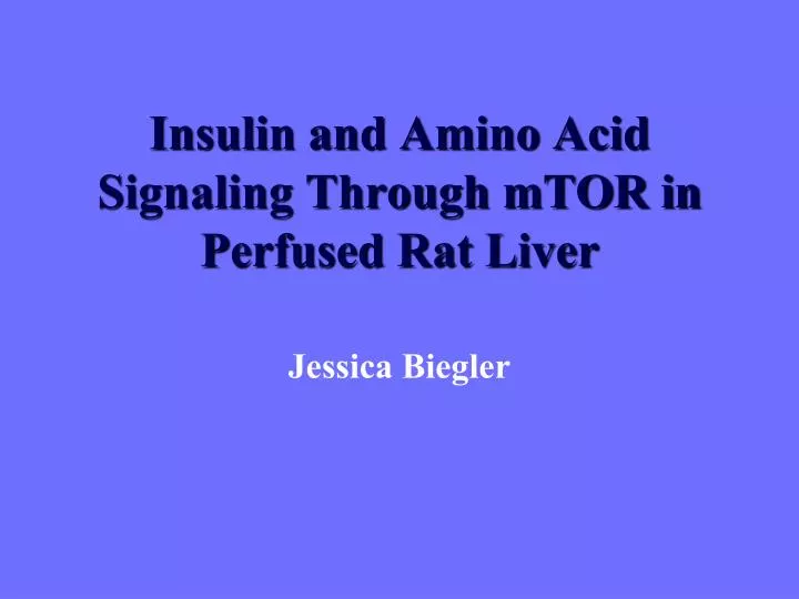 insulin and amino acid signaling through mtor in perfused rat liver
