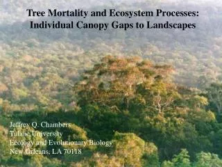 Tree Mortality and Ecosystem Processes: Individual Canopy Gaps to Landscapes