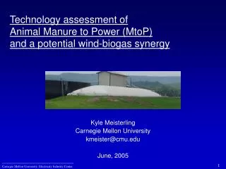 Technology assessment of Animal Manure to Power (MtoP) and a potential wind-biogas synergy