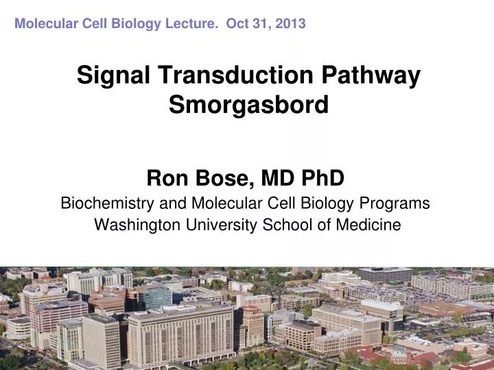 signal transduction pathway smorgasbord