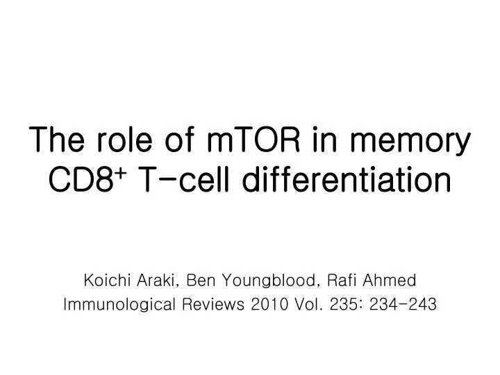 the role of mtor in memory cd8 t cell differentiation