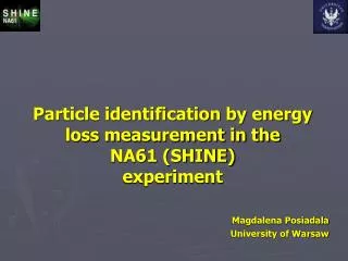 Particle identification by energy loss measurement in the NA61 (SHINE) experiment