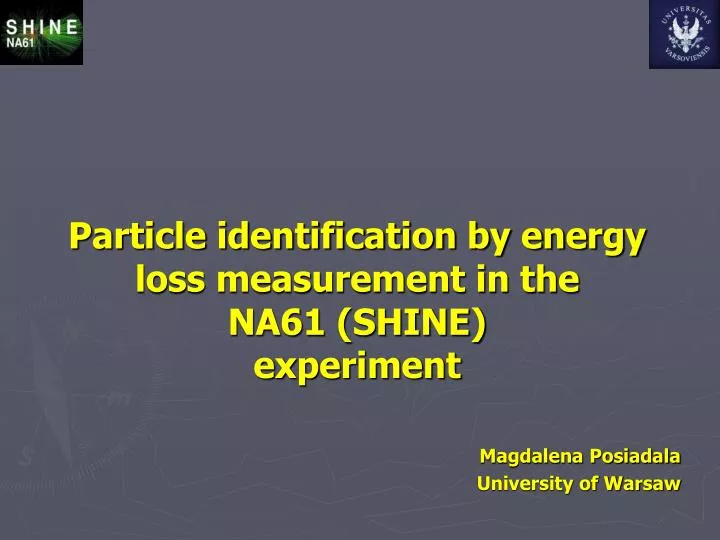 particle identification by energy loss measurement in the na61 shine experiment