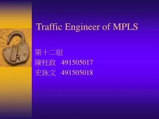 Traffic Engineer of MPLS