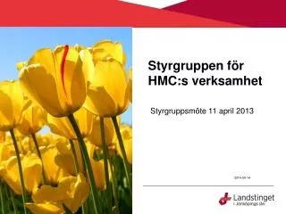 styrgruppen f r hmc s verksamhet