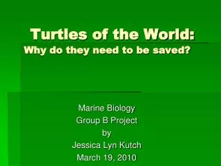 Turtles of the World: Why do they need to be saved?