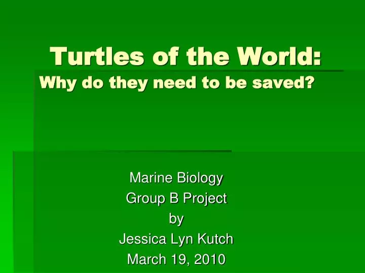 turtles of the world why do they need to be saved