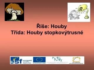e houby t da houby stopkov trusn