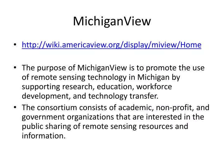 michiganview