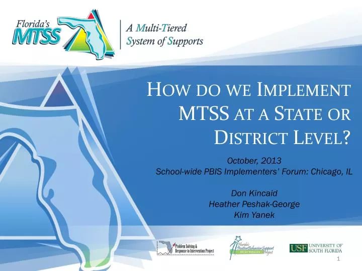 how do we implement mtss at a state or district level