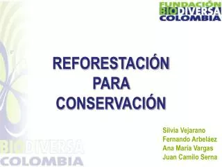 reforestaci n para conservaci n
