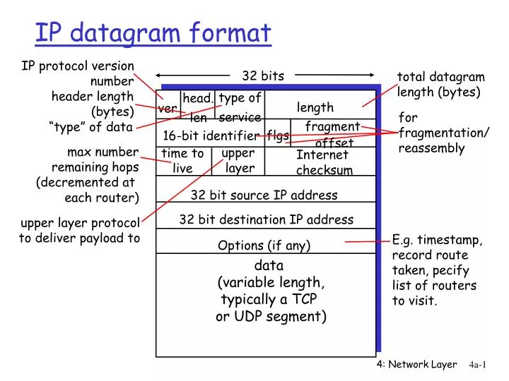 ip datagram format