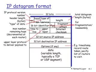 ip datagram format