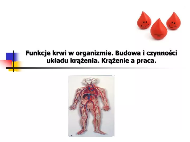 funkcje krwi w organizmie budowa i czynno ci uk adu kr enia kr enie a praca