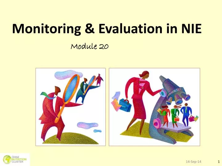monitoring evaluation in nie