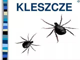 kleszcze