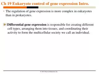 Ch 19 Eukaryote control of gene expression Intro.