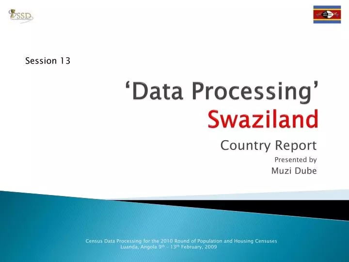 data processing swaziland