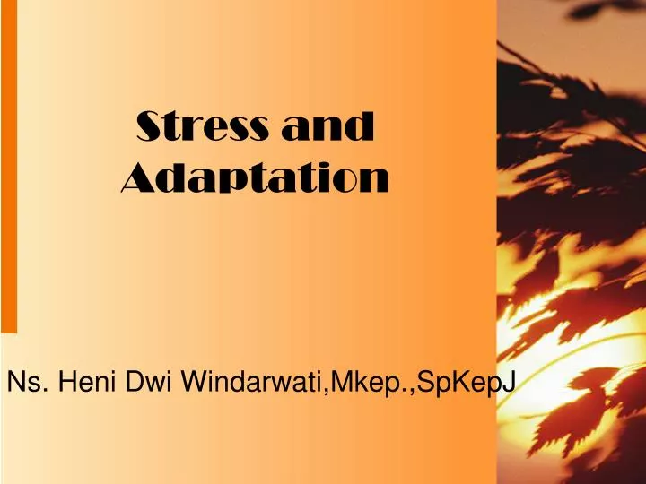 stress and adaptation