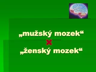 mu sk mozek ensk mozek