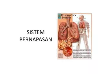 sistem pernapasan