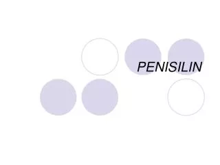 penisilin