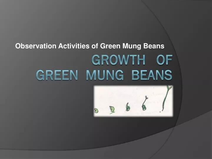 observation activities of green mung beans