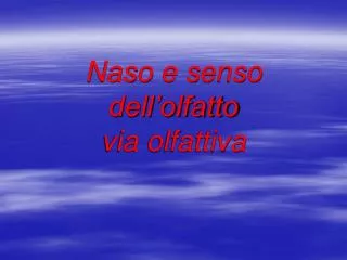 naso e senso dell olfatto via olfattiva