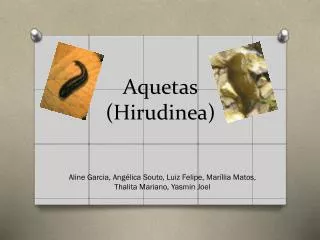 aquetas hirudinea