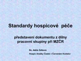 p edstaven dokumentu z d lny pracovn skupiny p i mz r