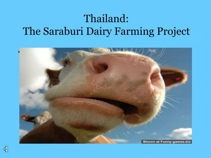 thailand the saraburi dairy farming project