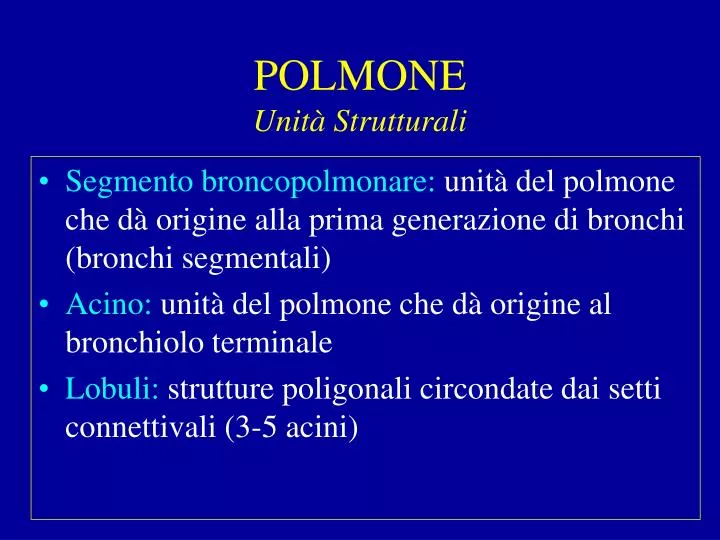 polmone unit strutturali