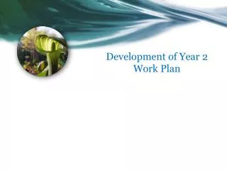 Development of Year 2 Work Plan