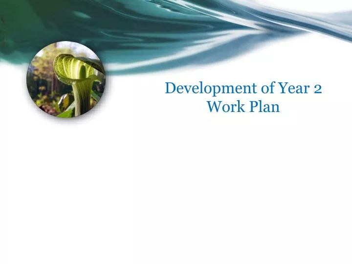 development of year 2 work plan