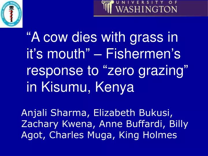 a cow dies with grass in it s mouth fishermen s response to zero grazing in kisumu kenya