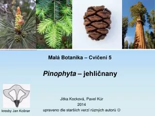 mal botanika cvi en 5