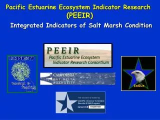 Integrated Indicators of Salt Marsh Condition