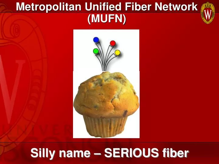 metropolitan unified fiber network mufn
