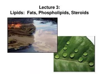 Lecture 3: Lipids: Fats, Phospholipids, Steroids